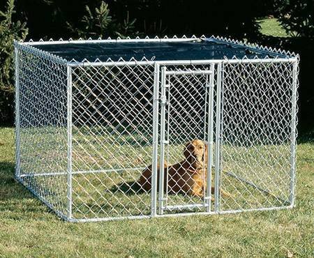Chain link dog kennel